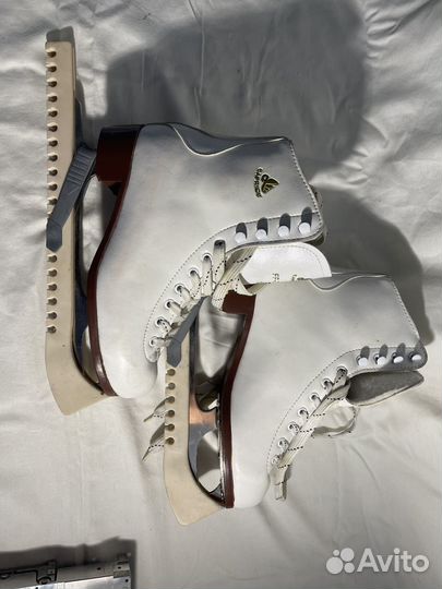 Коньки фигурные caprice