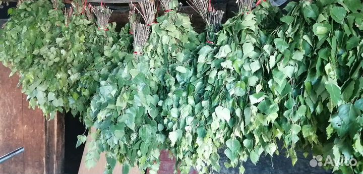 Веники Берёзовые Банные