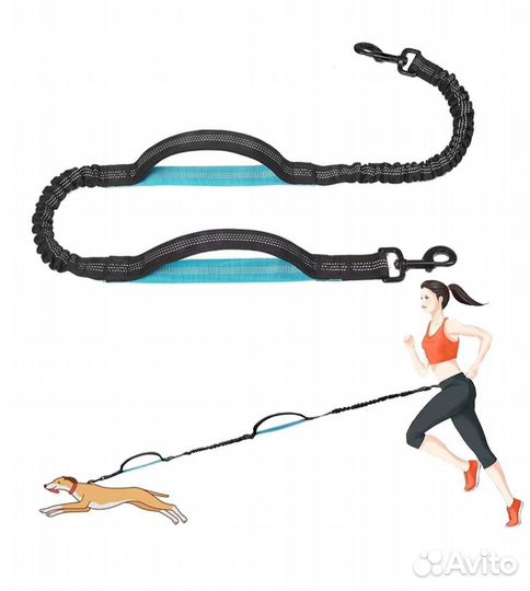 Поводок для собак. Поводок для бега