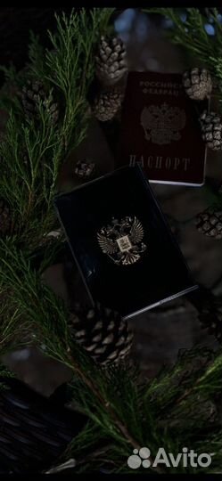 Обложка на паспорт