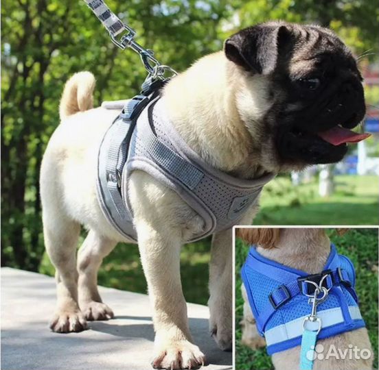 Шлейка для собак и кошек Размер M