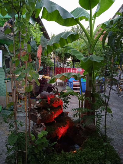 Комната 19 м², 1/2 эт.