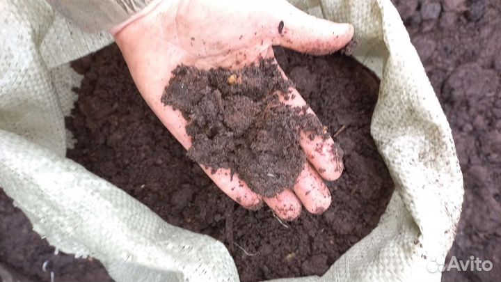 Перегной коровий перегной конский,торф