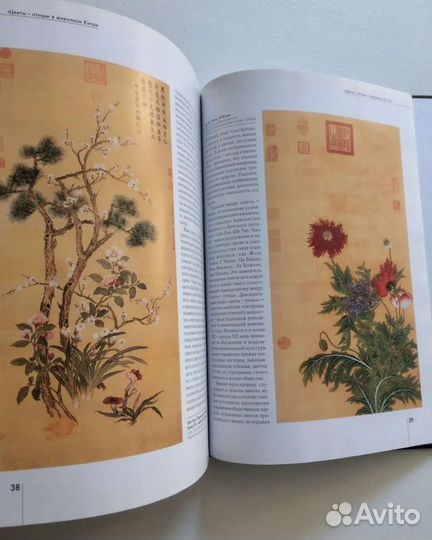 Альбомы по искусству Цветы птицы в живописи Китая