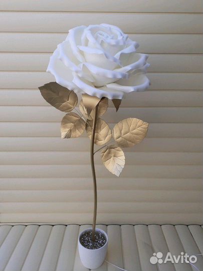 Ростовые цветы