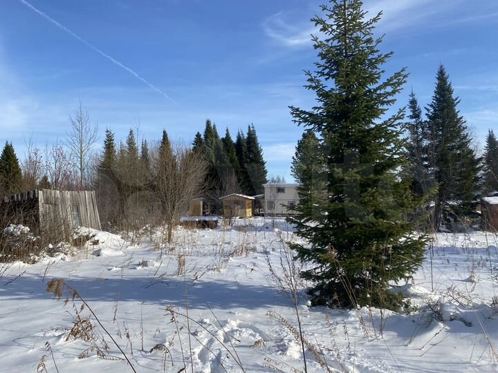 Участок 16,8 сот. (СНТ, ДНП)