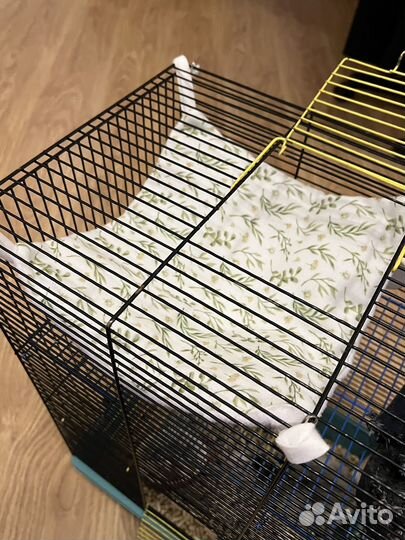 Гамачки для крыс