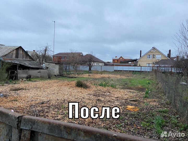 Спил деревьев, расчистка участка, обрезка