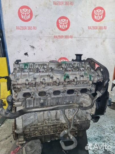 Двигатель Volvo S40 B5244S4 2008