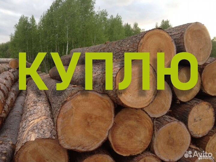 Лес кругляк (пиловочник)