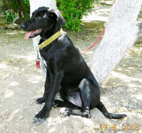 Малышка Эвочка