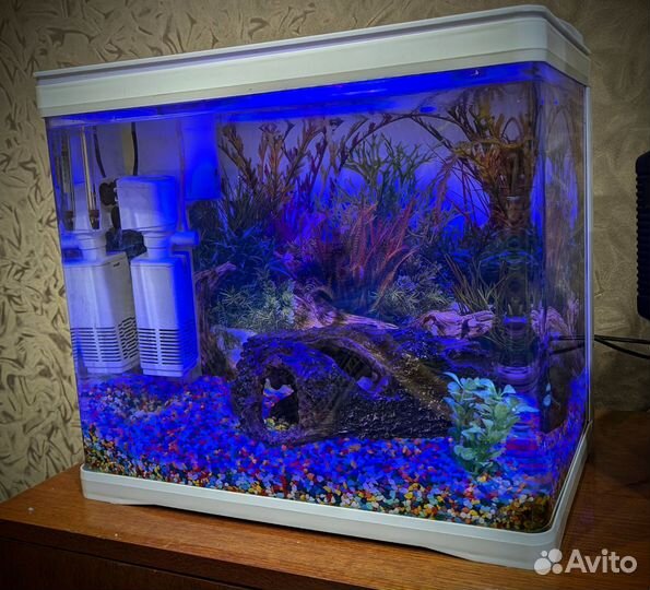 Аквариум