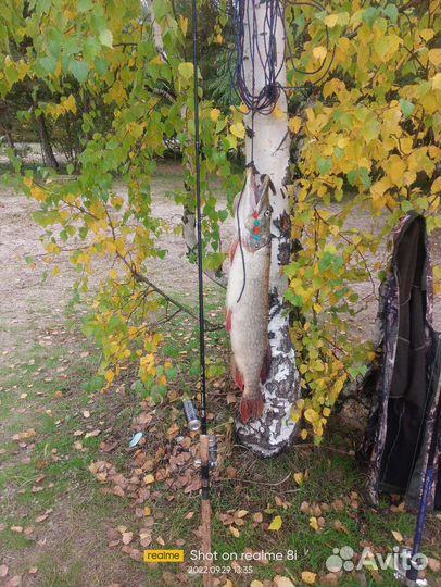 Приманка мандула