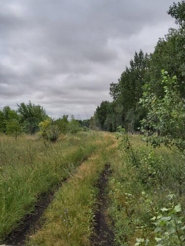 Участок 12 га (СНТ, ДНП)