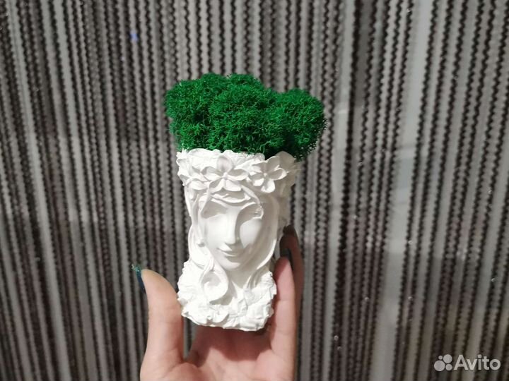 Сувениры, подарки, кашпо, мох, кактус, вазы