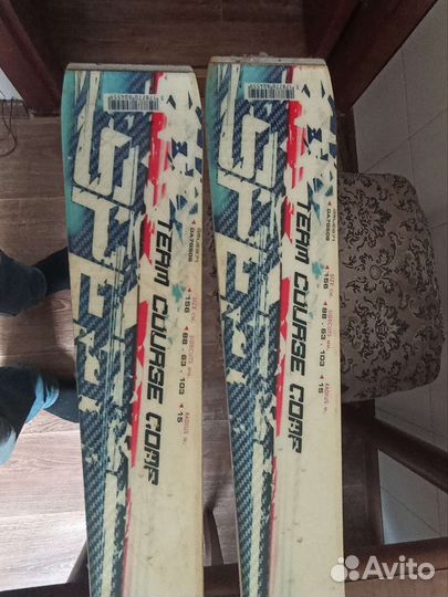 Горные лыжи