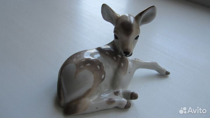 Оленёнок дфз Вербилки