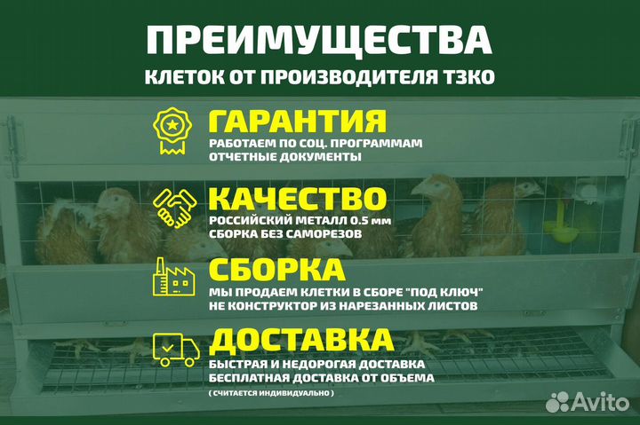 Перепел - батарея кпб-60