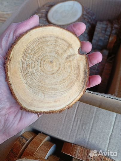 Спилы для панно, рисунка, выжигания