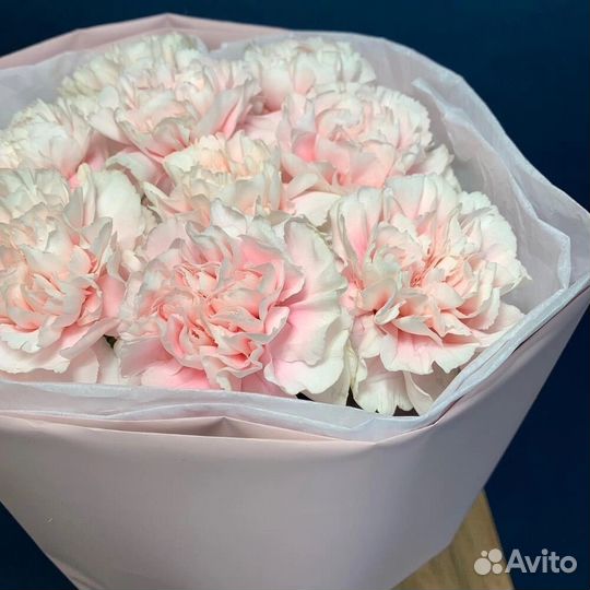 Гвоздики цветы букеты с доставкой