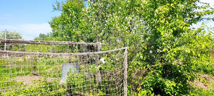 Дом 12,3 м² на участке 5,3 сот.