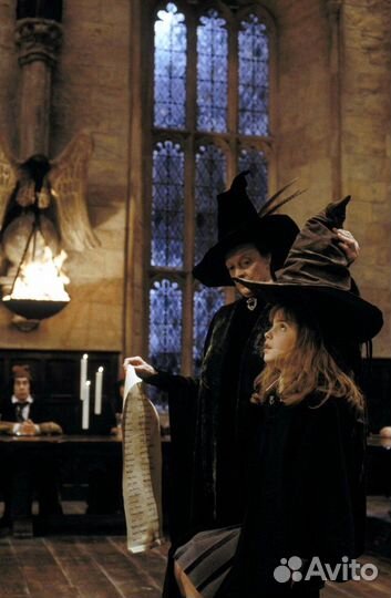 Hermione Granger 69, Harry Potter 21. Funko Pop