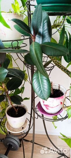 Цветы со стойкой