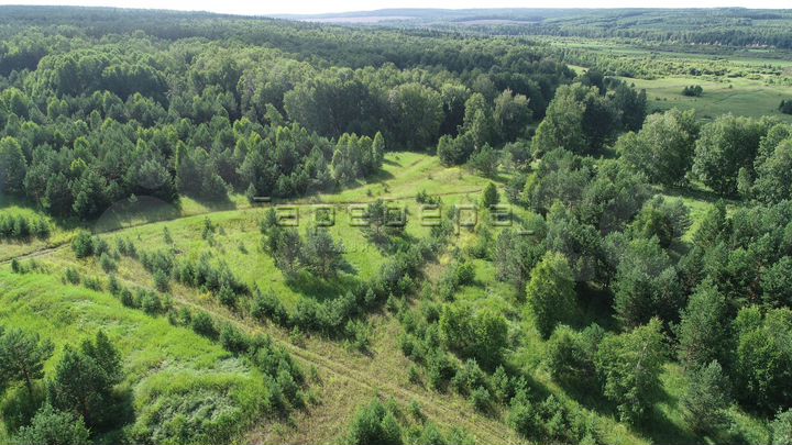 Участок 23 сот. (СНТ, ДНП)