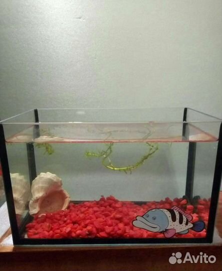 Аквариум 5 л