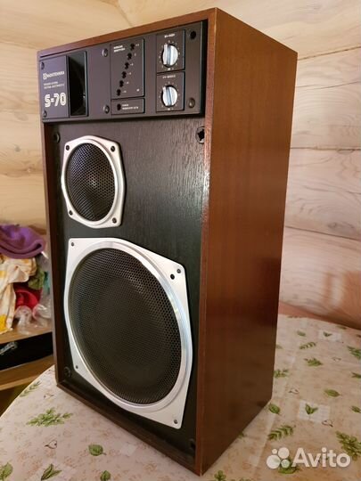 Акустическая система Радиотехника S70 с усилителем