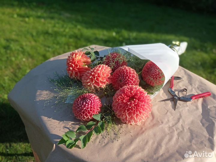 Георгины букет