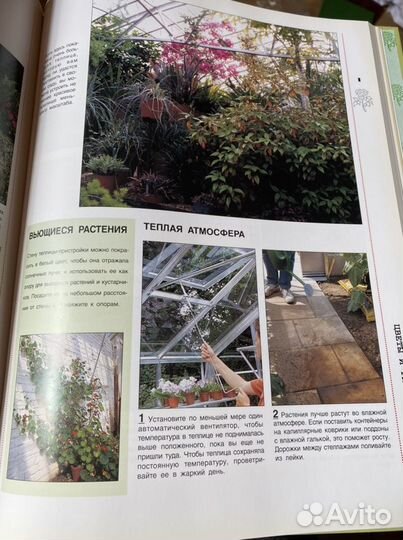 Энциклопедия садовода