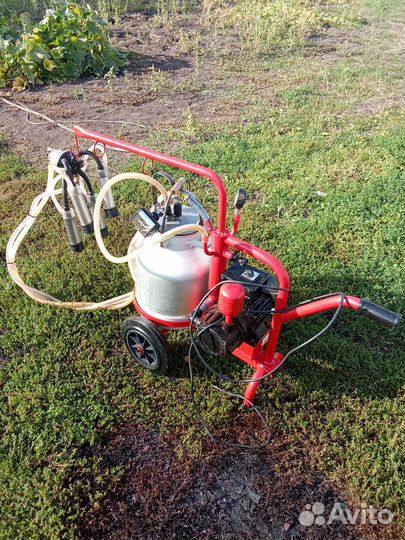 Доильный аппарат для коров