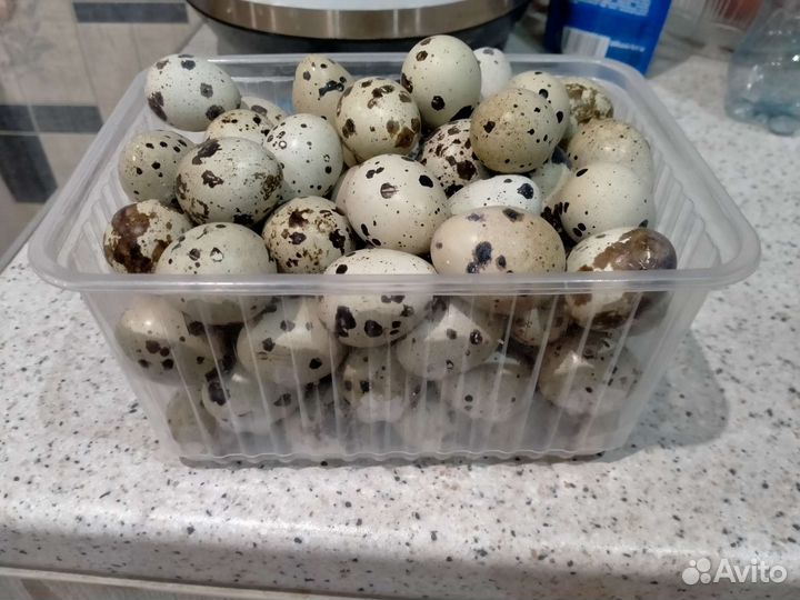 Яйца перепелиные домашние