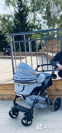 Коляска 3в1 adamex