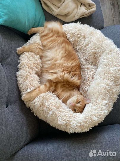 Кровать для домашних любимцев Сплюшка