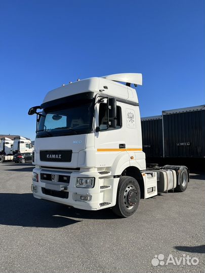 КамАЗ 5490 NEO, 2018