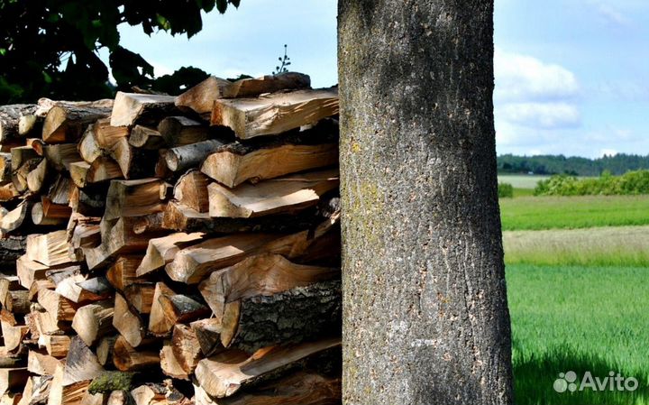 Дрова для бани