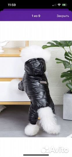 Комбинезон для собаки