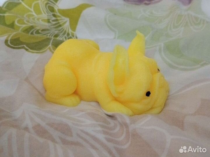 Сквиш собаки