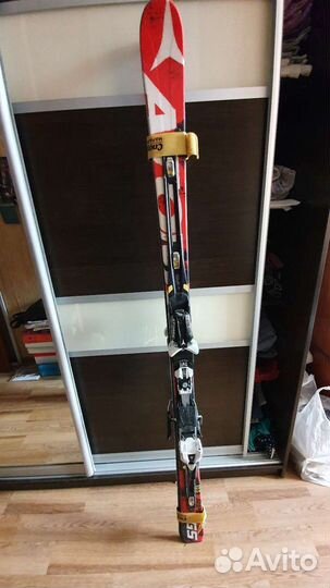 Горные лыжи