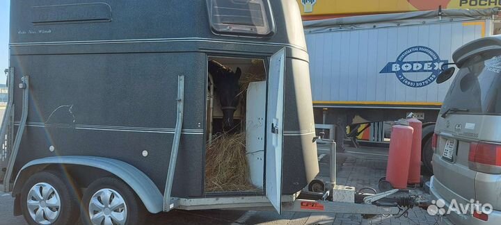 Конеперевозки