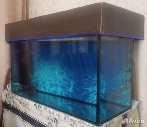 Аквариумы на 200 и 220 литров