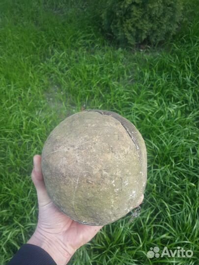 Окаменелости