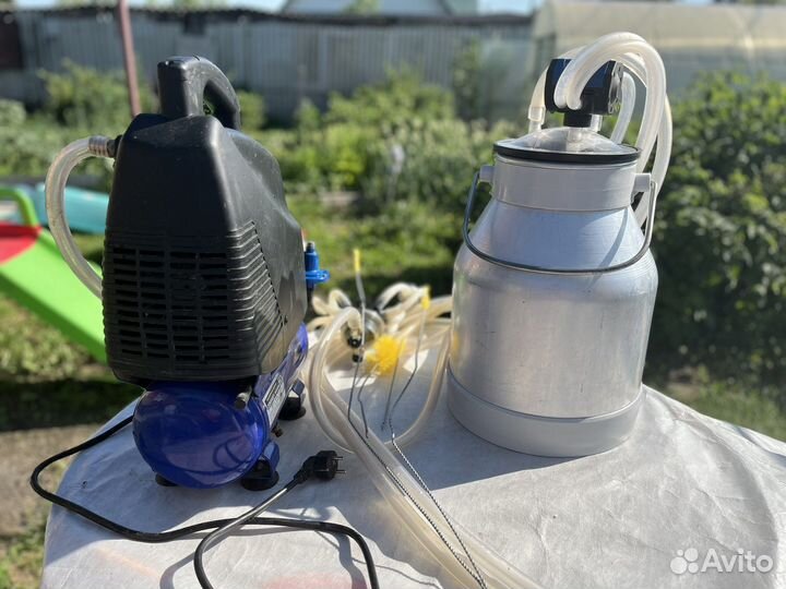 Доильный аппарат для коров бу