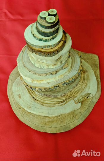 Спилы дерева готовые