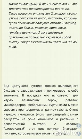 Почвопокровные растения многолетники