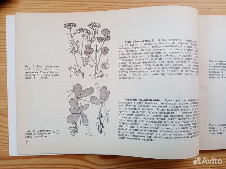 Зеленый ресторан. Б.П. Брусилов. Брошюра. 1992 год