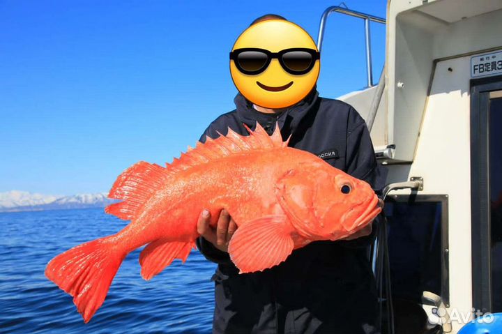 Морские прогулки и рыбалка