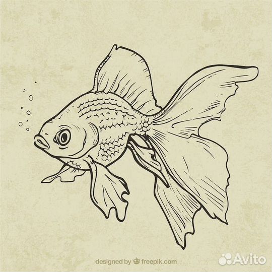 Татуировка бесплатно